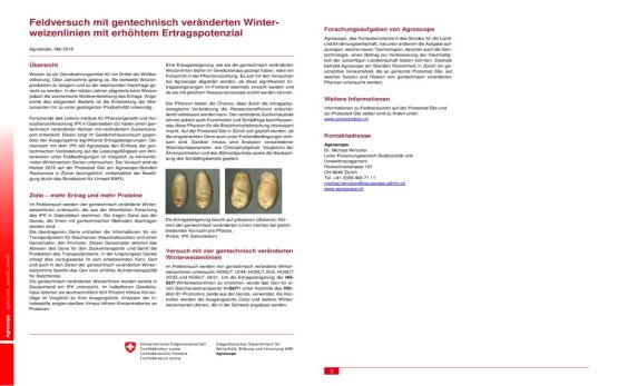 Factsheet-Winterweizen neu